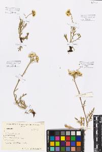 SW_BNB_s3080-01086_IMG-0000000001