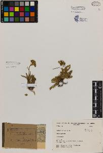 SW_BNB_s3080-01094_IMG-0000000001