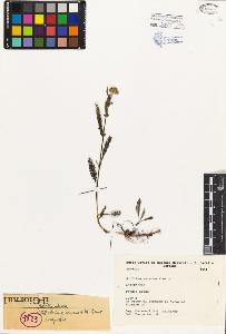 SW_BNB_s3080-01095_IMG-0000000001