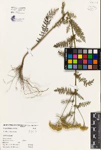 SW_BNB_s3080-01097_IMG-0000000001