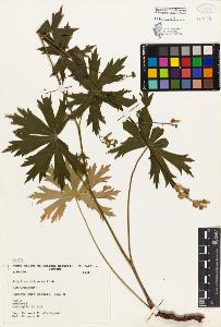 SW_BNB_s3080-01107_IMG-0000000001