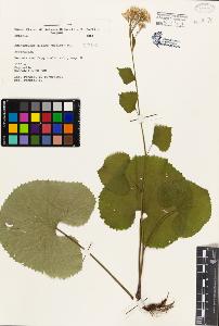 SW_BNB_s3080-01119_IMG-0000000001
