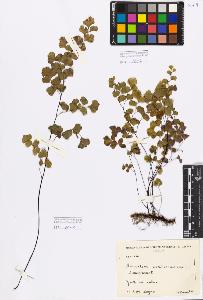 SW_BNB_s3080-01124_IMG-0000000001