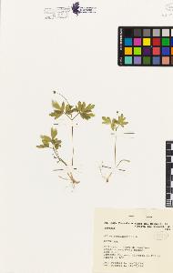 SW_BNB_s3080-01127_IMG-0000000001