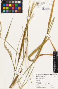 SW_BNB_s3080-01138_IMG-0000000001