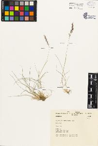 SW_BNB_s3080-01142_IMG-0000000001