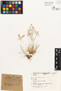 SW_BNB_s3080-01143_IMG-0000000001