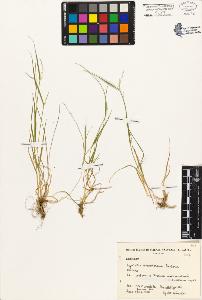 SW_BNB_s3080-01144_IMG-0000000001