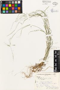 SW_BNB_s3080-01148_IMG-0000000001