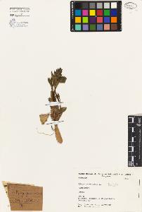 SW_BNB_s3080-01151_IMG-0000000001