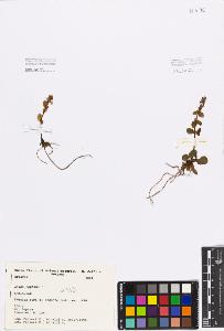 SW_BNB_s3080-01154_IMG-0000000001