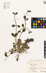 SW_BNB_s3080-01158_IMG-0000000001