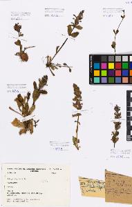 SW_BNB_s3080-01159_IMG-0000000001