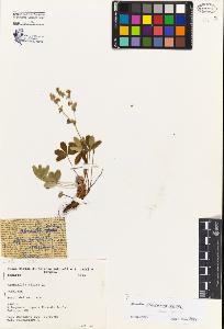 SW_BNB_s3080-01162_IMG-0000000001