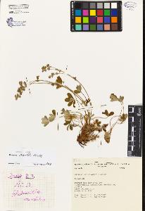 SW_BNB_s3080-01173_IMG-0000000001