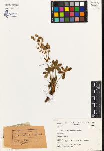 SW_BNB_s3080-01176_IMG-0000000001