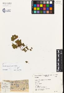 SW_BNB_s3080-01179_IMG-0000000001