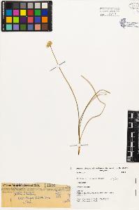 SW_BNB_s3080-01186_IMG-0000000001