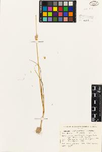SW_BNB_s3080-01191_IMG-0000000001
