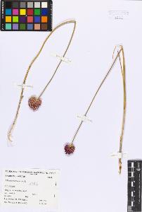 SW_BNB_s3080-01193_IMG-0000000001