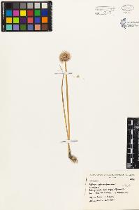 SW_BNB_s3080-01194_IMG-0000000001