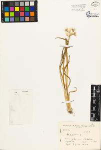 SW_BNB_s3080-01195_IMG-0000000001