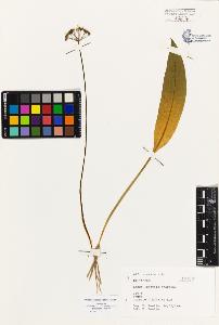 SW_BNB_s3080-01196_IMG-0000000001