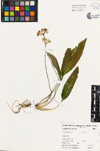 SW_BNB_s3080-01198_IMG-0000000001