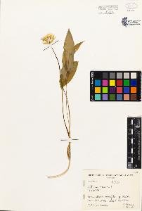 SW_BNB_s3080-01199_IMG-0000000001