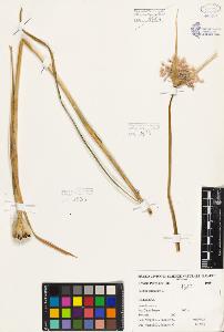 SW_BNB_s3080-01201_IMG-0000000001