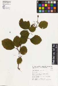 SW_BNB_s3080-01208_IMG-0000000001
