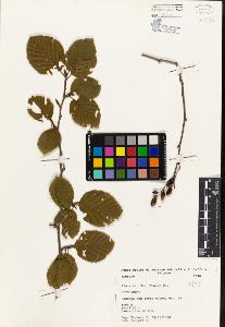 SW_BNB_s3080-01209_IMG-0000000001