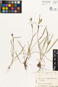 SW_BNB_s3080-01215_IMG-0000000001