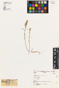 SW_BNB_s3080-01218_IMG-0000000001