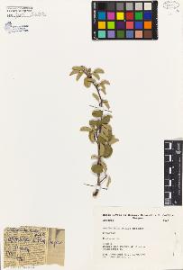 SW_BNB_s3080-01222_IMG-0000000001