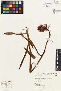 SW_BNB_s3080-01233_IMG-0000000001