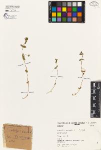 SW_BNB_s3080-01235_IMG-0000000001