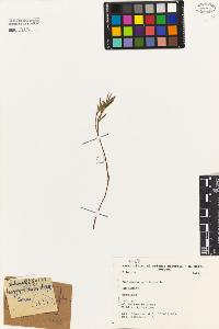 SW_BNB_s3080-01238_IMG-0000000001