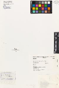SW_BNB_s3080-01241_IMG-0000000001