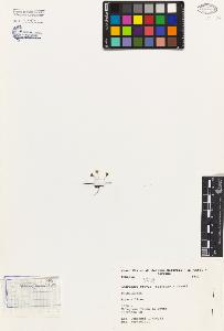 SW_BNB_s3080-01242_IMG-0000000001