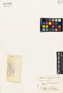 SW_BNB_s3080-01246_IMG-0000000001