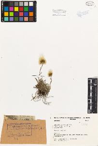 SW_BNB_s3080-01259_IMG-0000000001