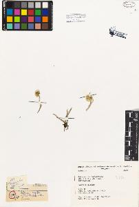SW_BNB_s3080-01260_IMG-0000000001