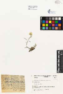 SW_BNB_s3080-01262_IMG-0000000001