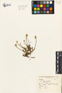 SW_BNB_s3080-01265_IMG-0000000001
