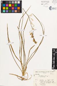 SW_BNB_s3080-01270_IMG-0000000001