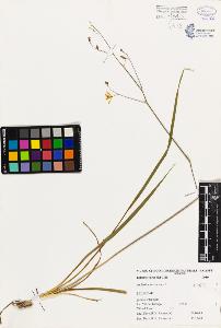 SW_BNB_s3080-01272_IMG-0000000001