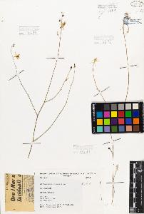 SW_BNB_s3080-01273_IMG-0000000001