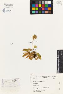 SW_BNB_s3080-01286_IMG-0000000001