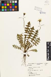 SW_BNB_s3080-01293_IMG-0000000001